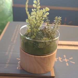 Wood Base Glass Terrarium Planter - Green Faux Succulent Arrangement